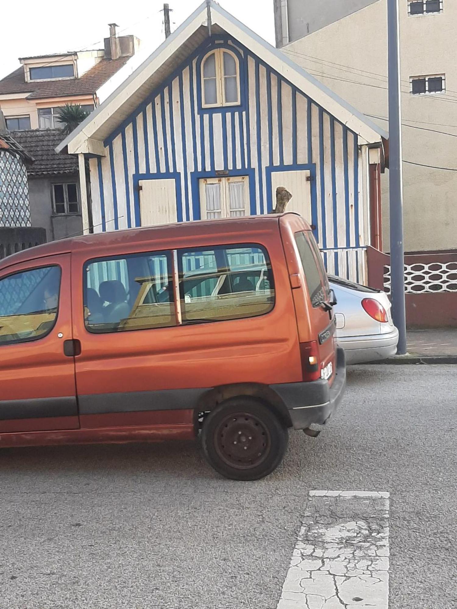 Sol E Mar Apartman Esmoriz Kültér fotó